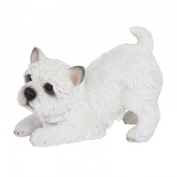 Westie Terrier Jouant...