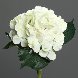 Tige Hortensia  Blanc H47