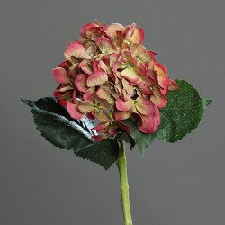 Tige Hortensia  Vert/Rose H47