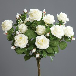 Bouquet Roses X15  Crème H57