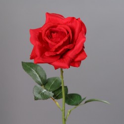 Tige Rose  Rouge H68