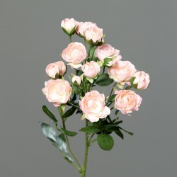 Tige Rose 18 Fleurs  Rose H55