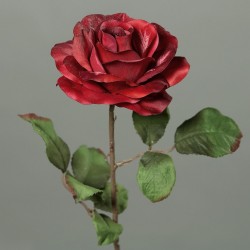 Tige Rose  Bordeaux H62