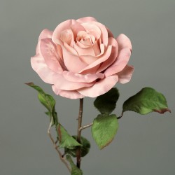 Tige Rose  Rose Pale H62