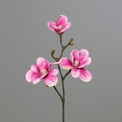 Pick Magnolia  Rose 40Cm