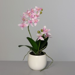 Orchidee X2 Pot Céramique...