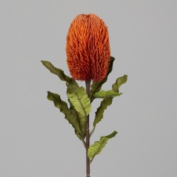 Tige Protea  Orange H65