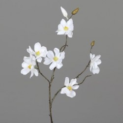 Pick De Magnolia 6 Fleurs...