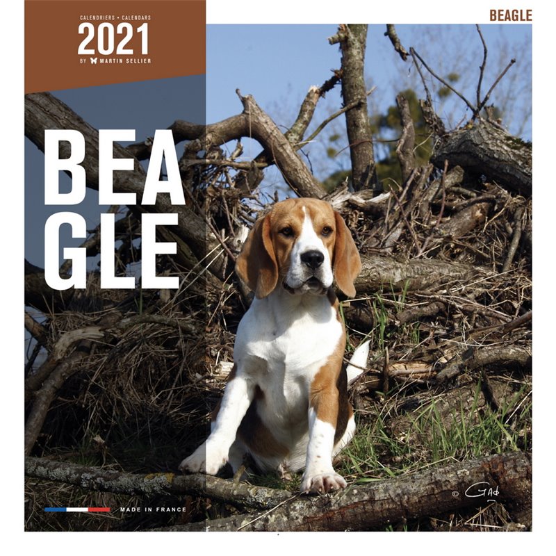 Livre beagle 