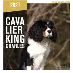 Livre cavalier king charles 