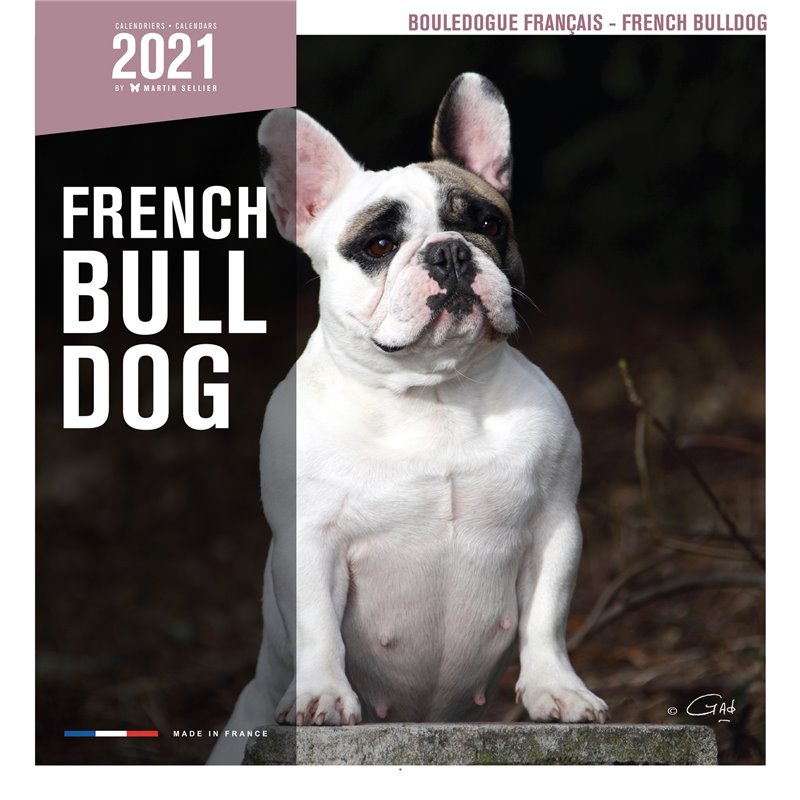 Livre buledogue francais 