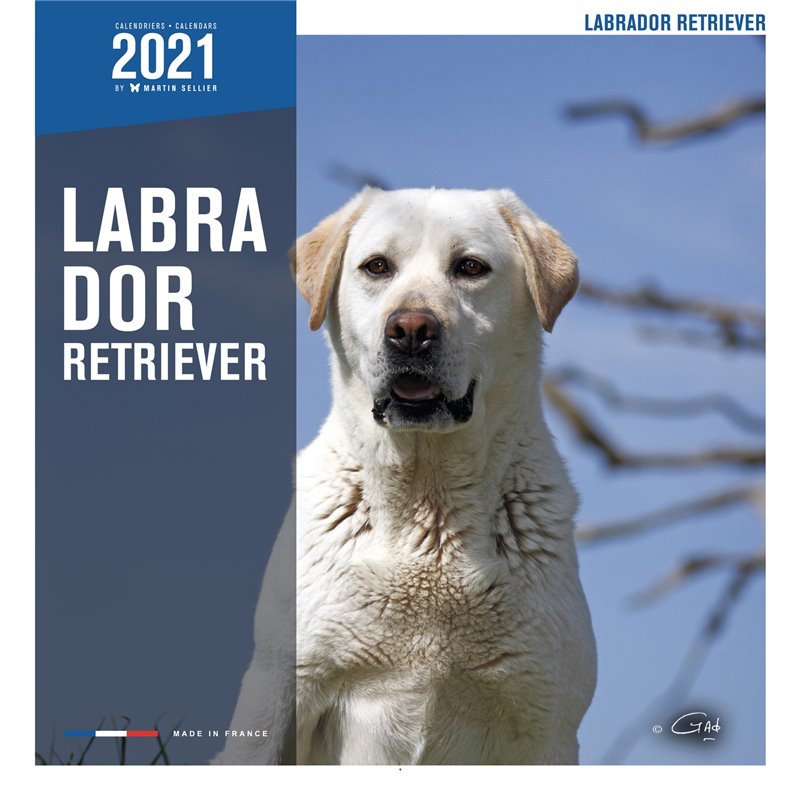 Livre labrador 