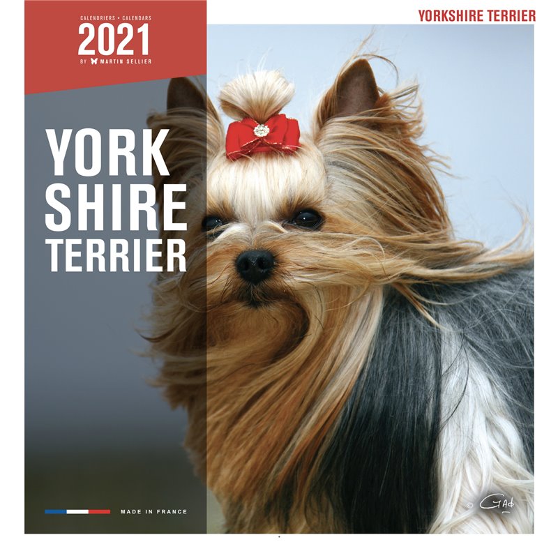 Livre yorkshire 