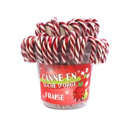 Sucre D'Orge Canne Noël...