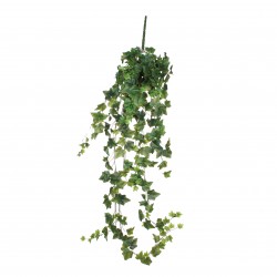 Chute De Lierre Vert En...