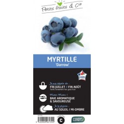 MYRTILLIER 'Darrow' C1.5L...