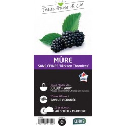 MURIER Dirksen® C1.5L