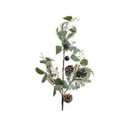Branche Eucalyptus/Baie...