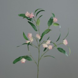 Tige Eucalyptus  Rose/Blanc...