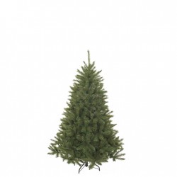 Sapin Bristlecone Vert En...