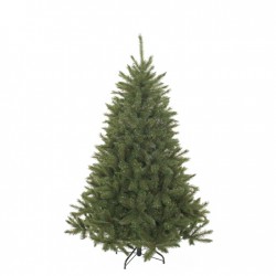 Sapin Bristlecone Vert En...