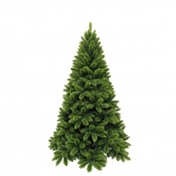 Sapin Tsuga Vert...