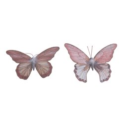 Papillon pes bicolor 20x14.5cm assortie 2cls