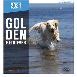 Livre golden retriever 