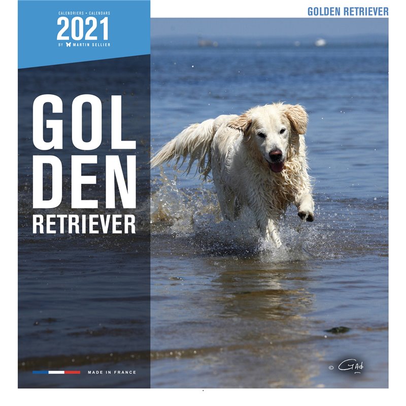 Livre golden retriever 