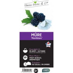 MURIER 'Montblanc' C1.5L...