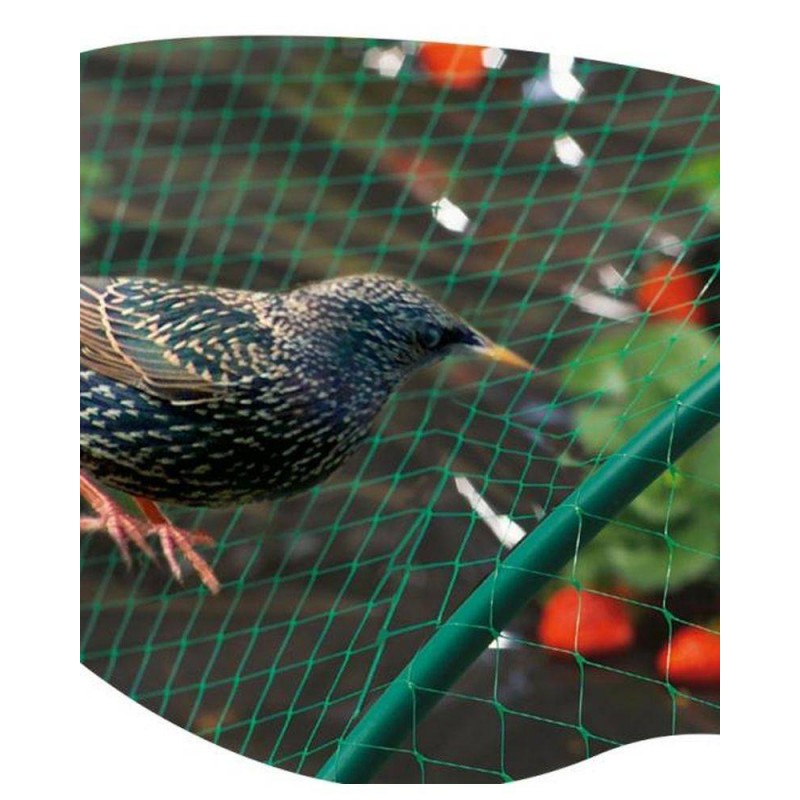 BIRDNET Filet de protection oiseaux PE Vert 2x10m