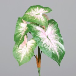 Pick Anthurium  Vert/Rose 