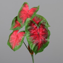 Pick Anthurium  Vert/Rouge 