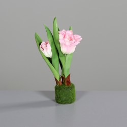 Ballot Tulipe  Rose Clair H16