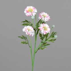 Tige Scabiosa  Blanc/Rose H53