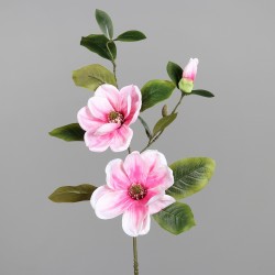 Tige Magnolia  Rose H70