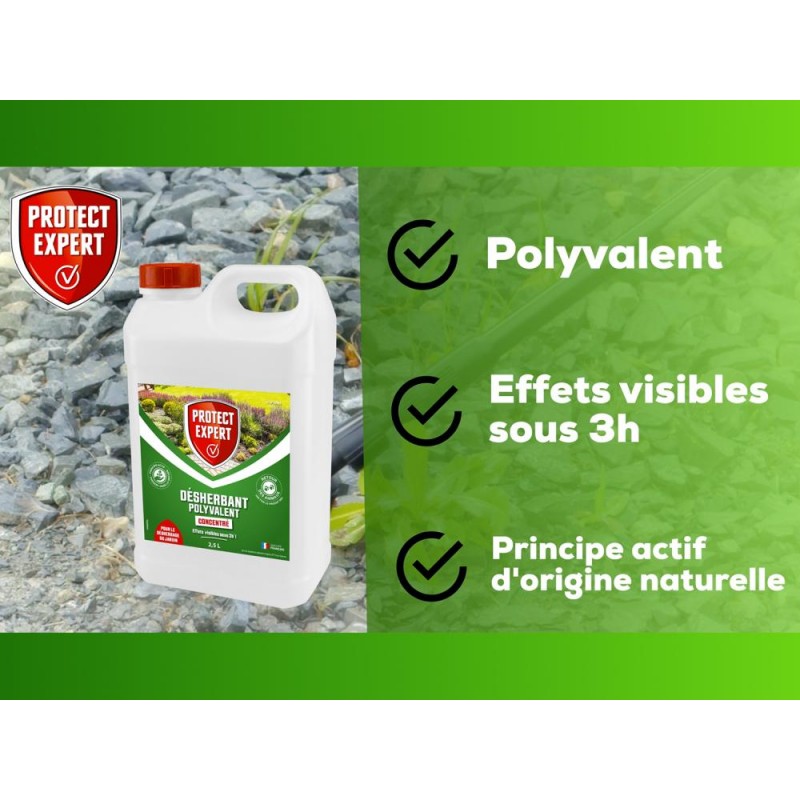 PROTECT EXPERT Désherbant polyvalent Pour le désherbage du jardin Bidon 2.5L Concentré