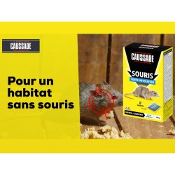 Souricide Souris Forte Infestation ( 5 X 20 Grs ) à Prix Carrefour