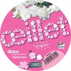 DIANTHUS Scent First®...