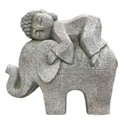 Bouddha Op olifant...