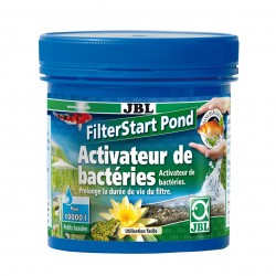 Filterstart pond bacteries...