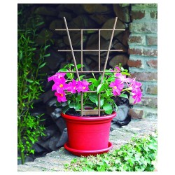 Tuteur Plantes En Pot...