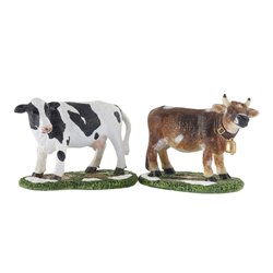 Vache et taureau 2 pièces 9x15.5-H6 couleur mixed