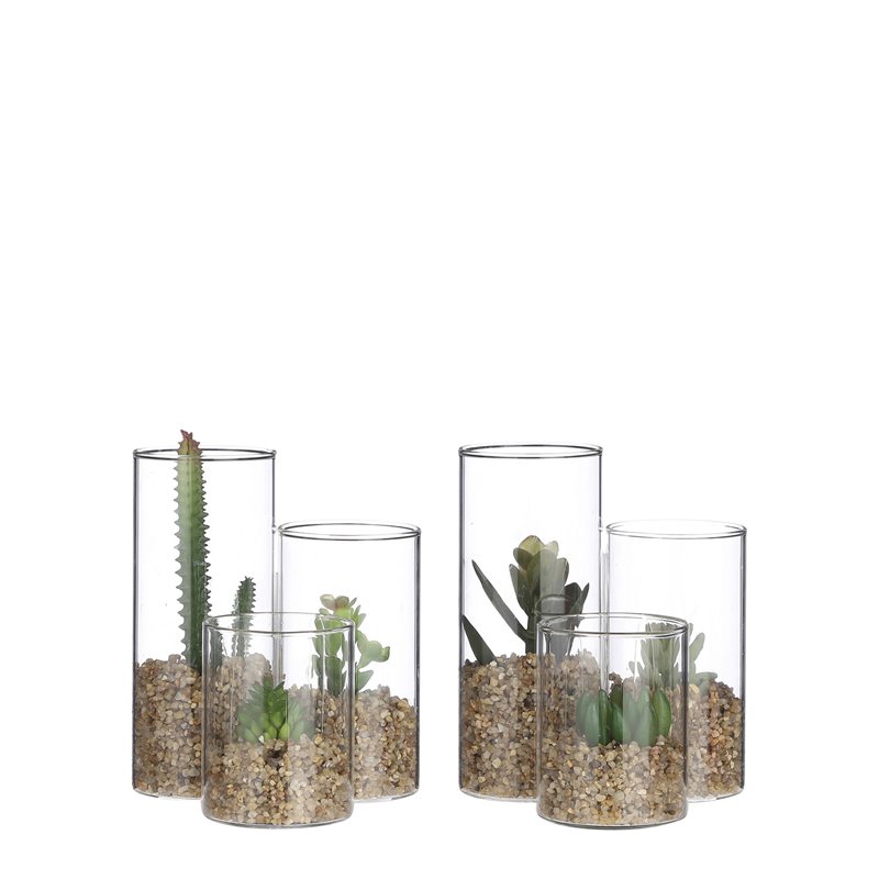 Succulente ø11-H13 vert