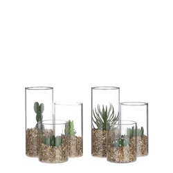 Succulente ø11-H13 2ass vert