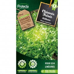 Graines Chicorée Frisée...