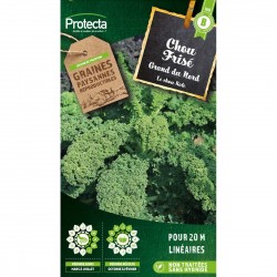Graines Chou Frisé Vert...