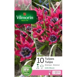 VILMORIN TULIPES Botanique...