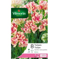 VILMORIN TULIPES Double...