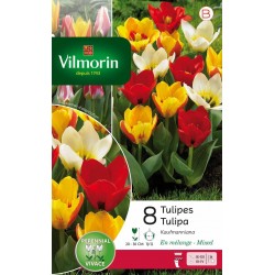 VILMORIN TULIPES...